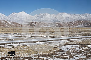 Tibetan Plateau between Lhasa and Qinghai photo